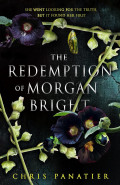 The Redemption of Morgan Bright by Chris Panatier