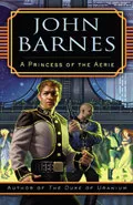 A Princess of the Aerie by  by John Barnes