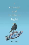 A Strange and Brilliant Light by  by Eli Lee