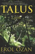 Talus by  by Erol Ozan
