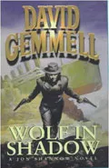 Wolf in Shadow by  by David Gemmell